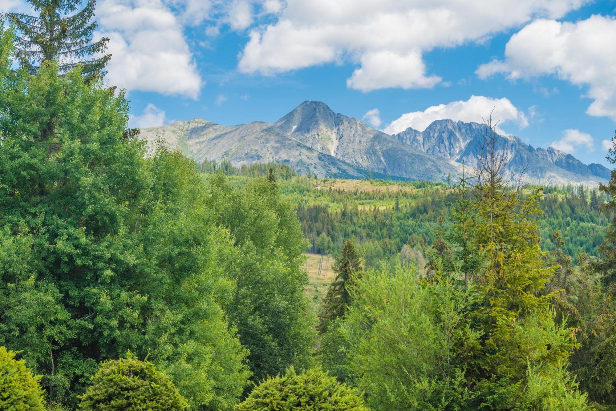 Sherpa'S Hostel High Tatras Štrbské Pleso Eksteriør billede